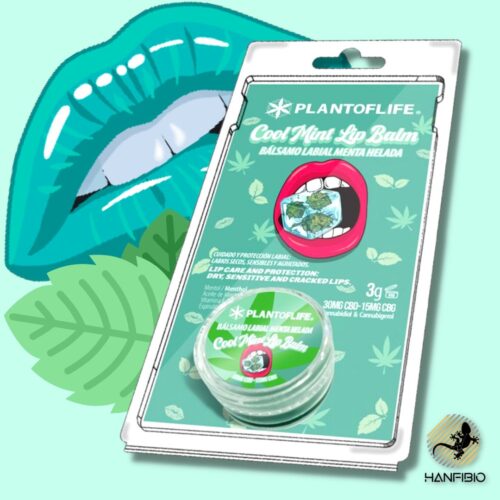 Balsamo Labbra al CBD- Cool Mint – Plant Of Life