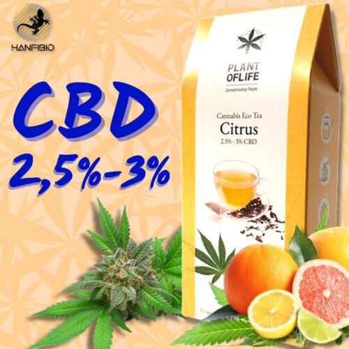 Cannabis Tea Citrus 2,5 / 3% CBD – Plant of Life