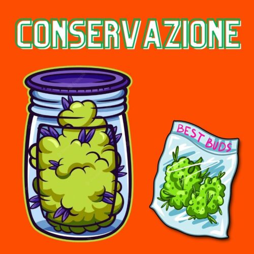 Conservazione